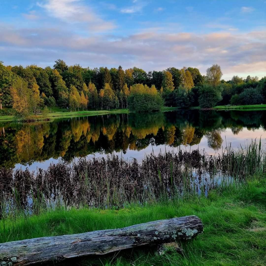 Tallhoejden Hotel & Cottage Lodge Simlångsdalen Kültér fotó